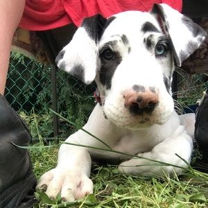 Meet your Posher, Vera